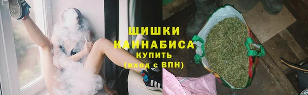 сатива Богданович