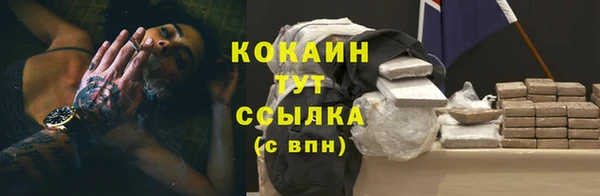 сатива Богданович