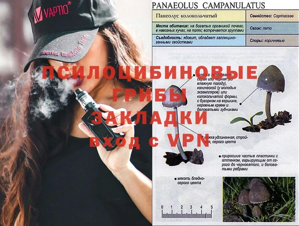 прущие крисы Богородицк