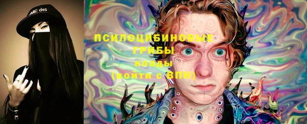 сатива Богданович