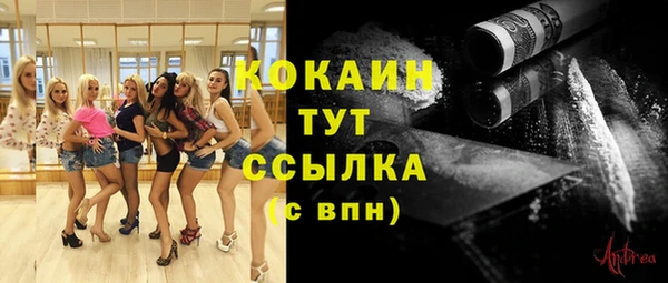 сатива Богданович